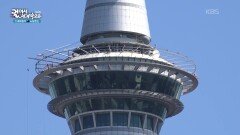 뉴질랜드의 옛 수도이자 최대 도시인 오클랜드 | KBS 260128 방송 