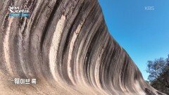 아웃백 풍경을 따라가다 만난 웨이브록 | KBS 260128 방송 