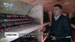 몰도바의 대표적인 푸카리 와이너리 | KBS 260204 방송 