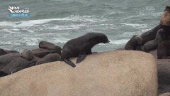 우루과이 동부 로차주의 아름다운 국립 공원 | KBS 260205 방송 