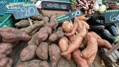 우루과이의 수도 몬테비데오를 찾아가다 | KBS 260205 방송 