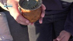 라플라타 강가의 오후 인상적인 장면은? | KBS 260205 방송 