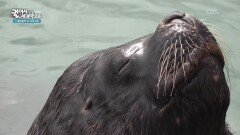 우루과이 남부 해안 도시인 푼타 델 에스테 | KBS 260205 방송 