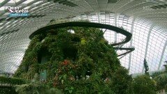 두 개의 거대한 온실, 플라워 돔과 클라우드 포레스트 | KBS 260206 방송 