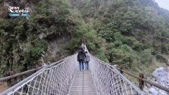 오래전 새들이 살았다는 제비 동굴 | KBS 260213 방송 