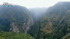 타이루거 협곡에서 자연을 만나다 | KBS 260213 방송 