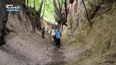 자연이 빚어낸 선물, 카지미에시 돌니의 황토 협곡 | KBS 260214 방송