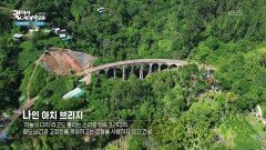 하늘의 다리라고 불리는 엘라의 나인 아치 브리지 | KBS 260220 방송 