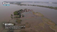 세계에서 가장 큰 맹그로브 숲이 있는 순다르반스 | KBS 260220 방송 