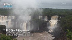 이구아수 폭포의 장엄한 풍경 | KBS 260221 방송 
