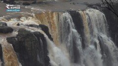 보는 이로 하여금 경외감을 자아내는 이구아수 폭포 | KBS 260221 방송 