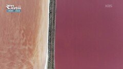 물감을 보는 듯한 염전의 색! | KBS 260224 방송 