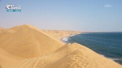 가장 아름다운 사막, 나미비아의 나미브 모래 바다 | KBS 260224 방송 