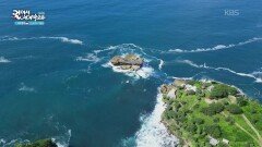 현지인의 낚시 명소, 티망 해변 | KBS 260227 방송 