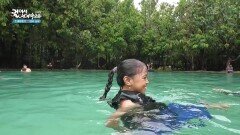 숲과 나무, 맑은 물이 있는아름다운 천연 수영장, 에메랄드 풀 | KBS 260227 방송 