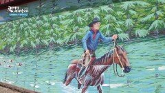 텍사스 반데라의 역사, 카우보이 | KBS 260305 방송 