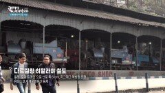 생활필수품 운송과 차 수출을 위해 개통된 다르질링 히말라야 철도 | KBS 260314 방송 