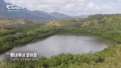 전설적인 고대 하와이의 메네후네 양어장 | KBS 260715 방송 