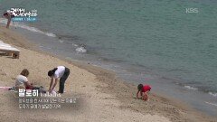 피카소가 거닐던 발로히의 피카소 해변 | KBS 260724 방송 