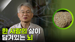 삶이 담겨 있는 뇌, 그 속을 보다 | KBS 251119 방송 