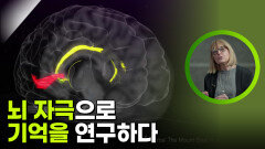 뇌 자극으로 기억을 연구하는 사람들 | KBS 251119 방송 