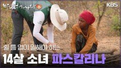 쉴 틈 없이 일해야 하는 14살 소녀 파스칼리나 | KBS 250504 방송 