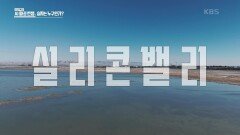 AI 경제에 뛰어드는 실리콘밸리 빅 테크 기업들, 막을 올린 쩐의 전쟁 | KBS 250101 방송 