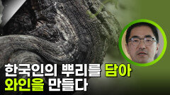 한국인의 뿌리를 담아 와인을 만드는 안드레아 철규 펠로소 | KBS 251115 방송 