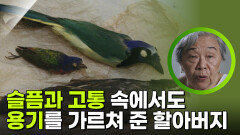 슬픔과 고통 속에서도 용기를 가르쳐준 할아버지 | KBS 251122 방송