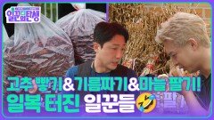  고추 빻기&기름짜기, 마늘 팔기까지! 일복 터진 일꾼들🤣 | KBS 251015 방송 