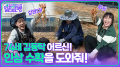 74세 김동탁 어르신! 인삼 수확을 도와줘! | KBS 251112 방송 