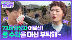73세 김성자 어르신! 콩 수확을 대신해 줘 | KBS 251119 방송 