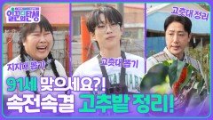 91세 맞으세요?! 어르신을 위한 속전속결 고추밭 정리! | KBS 251126 방송 