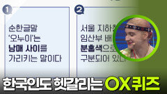 한국인들에게도 알쏭달쏭한 OX퀴즈! | KBS 251008 방송 