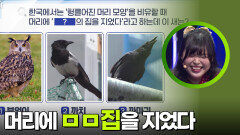 ‘머리에 □□의 집을 지었다’의 이 새는? | KBS 251008 방송 