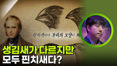 생김새가 다르지만 모두 핀치새다? | KBS 260314 방송 