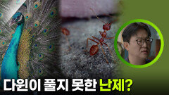 다윈이 풀지 못한 난제는 무엇일까? | KBS 260314 방송 