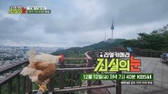 [예고] 마당을 나와 도심에 출몰한 닭?! [리얼 카메라 진실의 눈] | KBS 방송