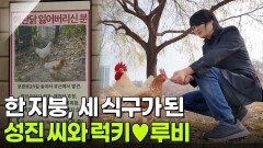 한 지붕, 세 식구가 된 럭키&루비 [리얼 카메라 진실의 눈] | KBS 251212 방송 