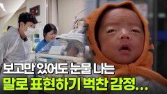 보고만 있어도 눈물 나는 말로 표현하기 벅찬 감정.. [리얼 카메라 진실의 눈] | KBS 251212 방송 