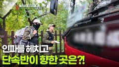 인파를 헤치고 단속반이 향한 곳은?! [리얼 카메라 진실의 눈] | KBS 251219 방송 