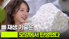 일상에서 발견한 혁신 기술?! 뼈 재생 기술은 ███ 모양에서 탄생했다 | KBS 251207 방송 