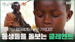 돌아가신 엄마에게서 받은 기억대로 동생들을 돌보는 클레멘트 | KBS 251221 방송 