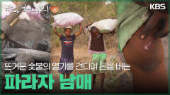 뜨거운 숯불의 열기를 견디며 돈을 버는 파라자 남매 | KBS 251221 방송 