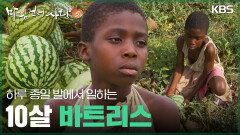 하루 종일 밭에서 일하는 10살 바트리스 | KBS 251221 방송 