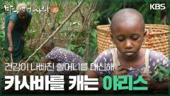 건강이 나빠진 할머니를 대신해 카사바를 캐는 야리스 | KBS 251228 방송 