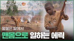 불붙은 밭에서 맨몸으로 일하는 에릭 | KBS 260111 방송 