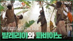 부모 없이 살아가는 남매, 발레리아와 파비아노 | KBS 260111 방송 