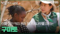 이틀 동안 아무것도 먹지 못한 채 가시나무를 자르는 구마토 | KBS 260208 방송 