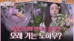 사랑을 담아 만드는 꽃다발, 수명을 늘리는 노하우는? | KBS 260325 방송 